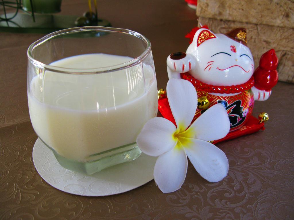 清邁 Cshouse酒店 外观 照片